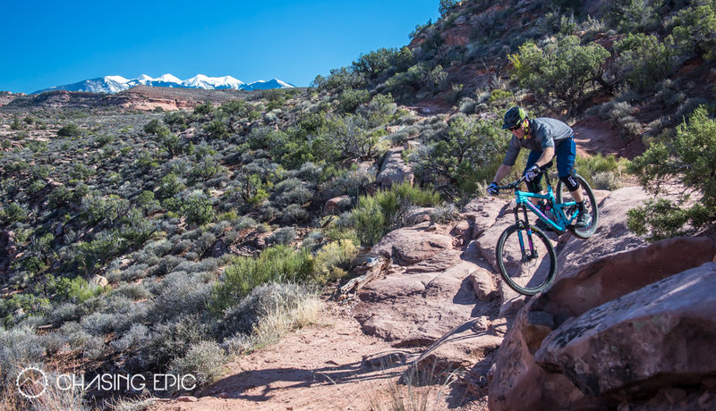 Lower Porcupine Singletrack in November, with short sleeves, with snow on the La Sals.  Does it get any better?  No.  It doesn't.