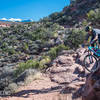 Lower Porcupine Singletrack in November, with short sleeves, with snow on the La Sals.  Does it get any better?  No.  It doesn't.