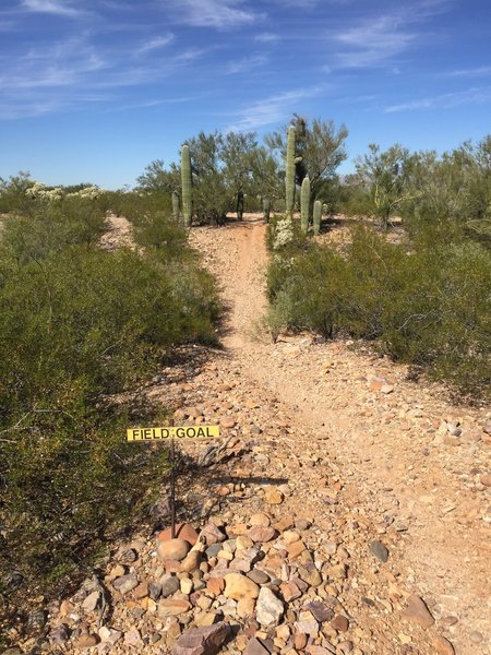 Time for the extra point as you traverse the trail between the proverbial goal posts.  Not too steep of an entrance, but enough to add a great element to this segment.