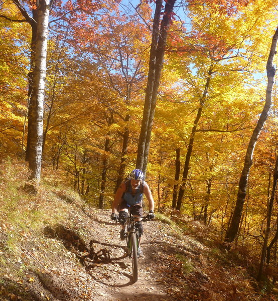 Fall colors in Mission Creek.