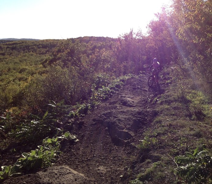 High above Duluth on the Hawks Ridge Trail.