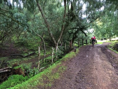 Climbing through the woods... much mud!