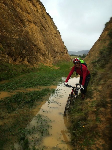 Puddle on the trail.