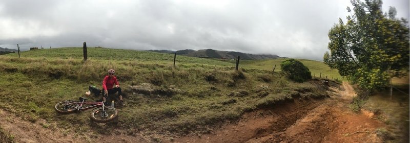 Panoramic riding through a paddock