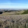 The view towards Delta. Briones could be a crown jewel of East Bay parks but lacks a people-friendly trail system.