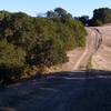 Briones Crest "Trail" section is an example of poor trail and land management. This eroded section should be restored and rerouted and is one of too many examples.