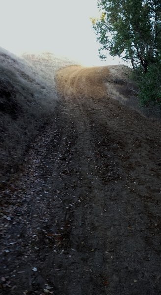 Upper Abrigo Valley Trail "mud wall."