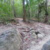 Main Loop rock garden #1, looking back.