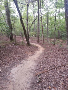 Sherman branch best sale mountain biking park