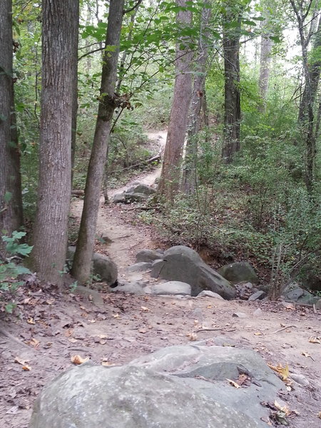 Rock garden just after start of WWC East.