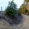 Redtail fire road "Trail" near Cottontail Trail junction.