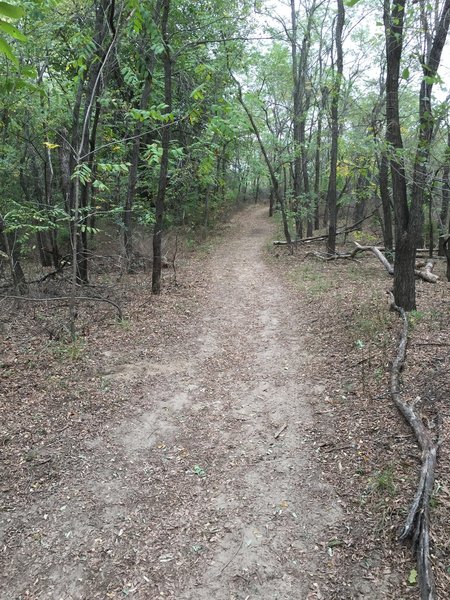 The entry path is a nice clay surface but that will quickly give way to sand if you head east.