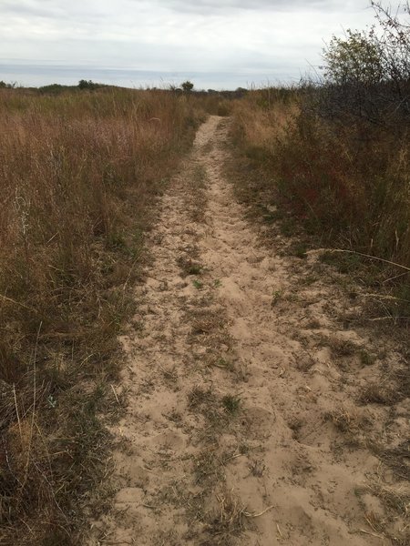 Some trails are off limits to horses...this is what the horse trails look like.  I really feel this could be a fat bike paradise!