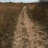 Some trails are off limits to horses...this is what the horse trails look like.  I really feel this could be a fat bike paradise!