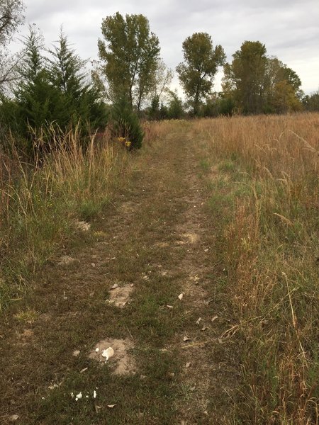 This trail only has a couple of sandy sections.