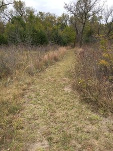 A nice part of the trail.