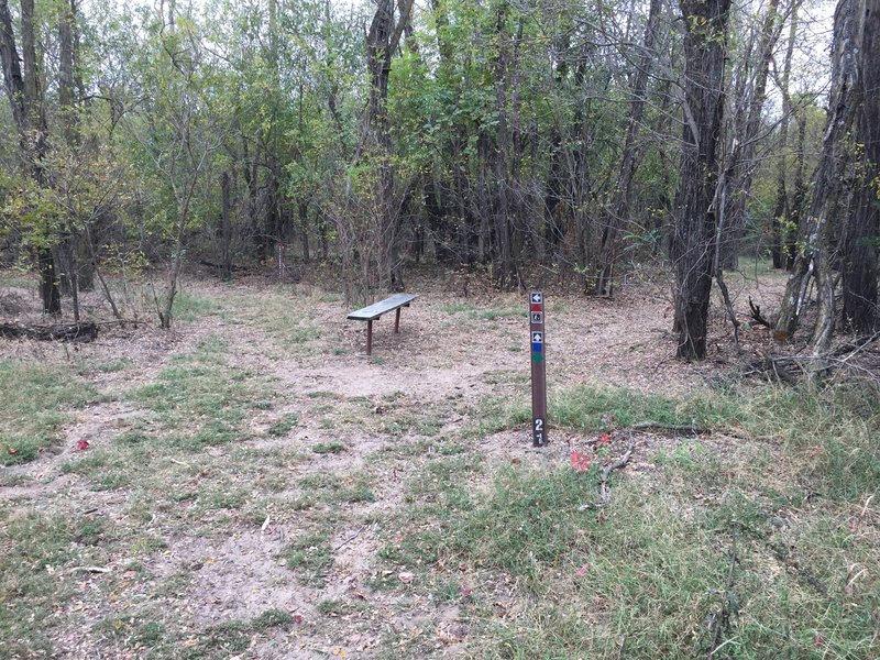 The path is kinda spider-webby around here and there's some benches here and there if you want to hang out and watch the wildlife.