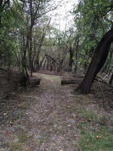 This path is in the woods and not very sandy.