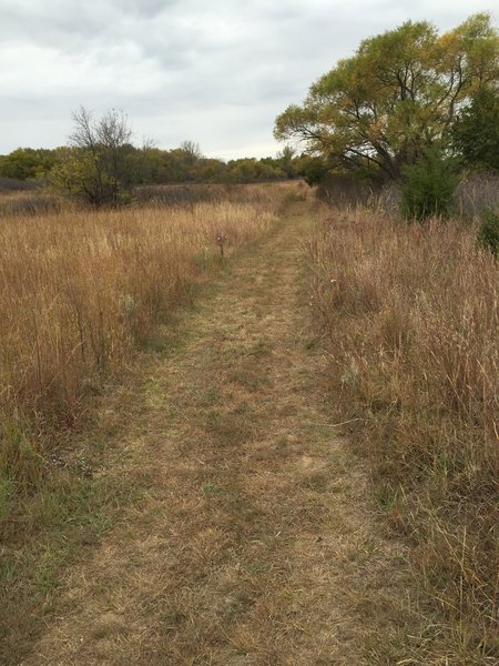 A decent section of trail...some of the trails are off-limits to horses and it's obvious where they typically ride.