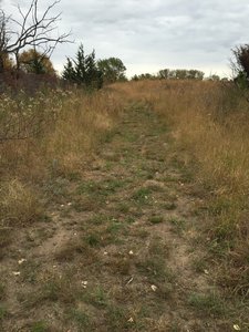 This is a pretty good loop around the perimeter of the field.  Lots of wildlife to scare up out here!