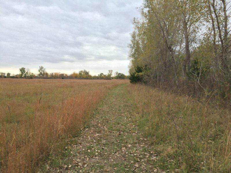 This section isn't sandy and rides well.