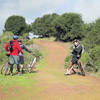 Quick stop to enjoy the view from Live Oak Trail.