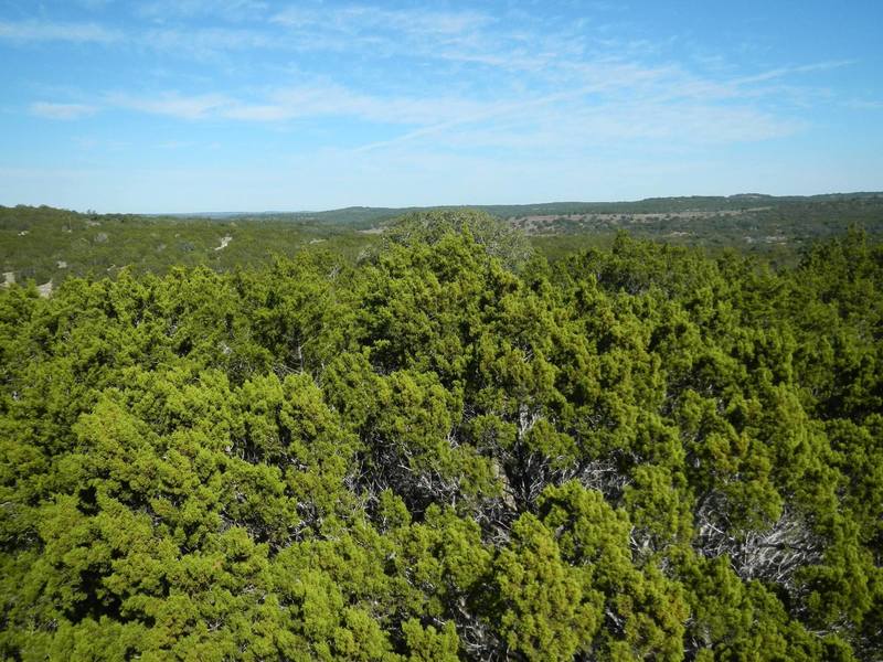 View from the top of the Hill of Death.