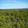 View from the top of the Hill of Death.