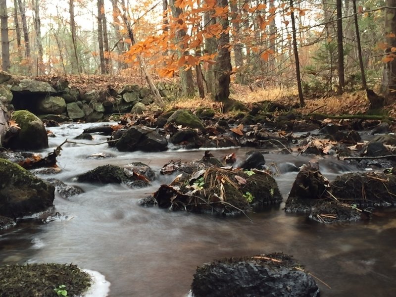 Peaceful little brook near Range Pond.