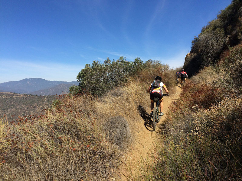 Climbing up, about a mile north of Mystic Cyn.