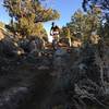 Descending Rattlesnake Rock on the G-Wiz trail.