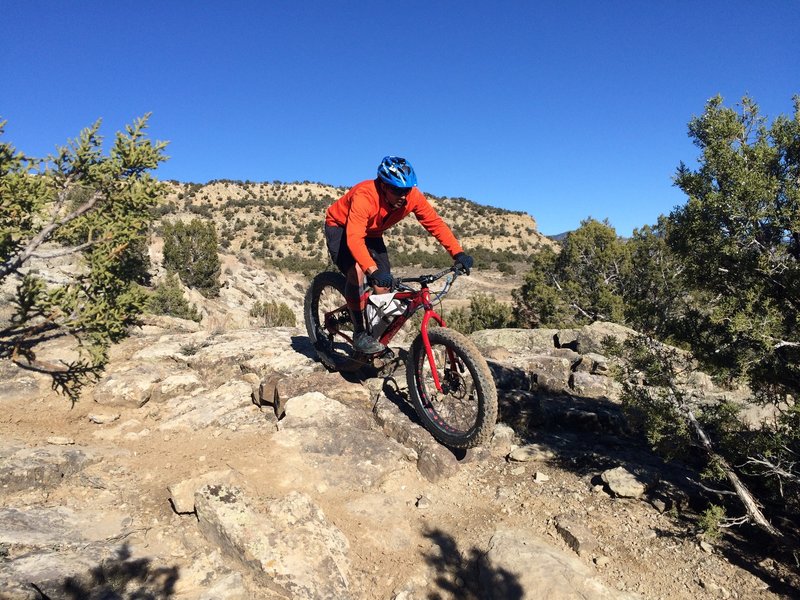 A fun, rocky section of Puma before dropping into the creek bed.