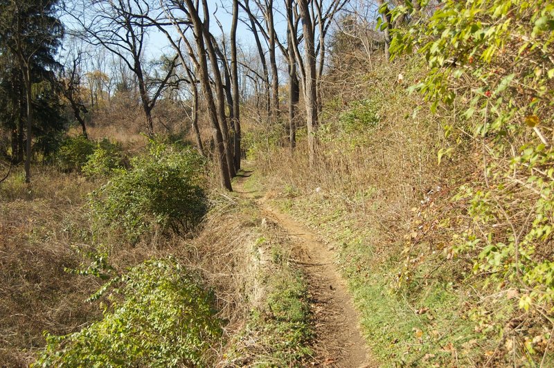 The Wissahickon trail opens up before Wises Mill Rd.