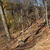 The Wissahickon trails highlight a flowy section and balance beam.