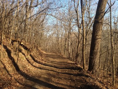Descending the Lowe Rollers loop.  Lots of trail work (photo 11/24/15) - now a wide road. Fast!