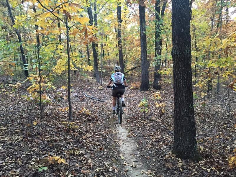 Tanya Lercher enjoying the fall colors on the Yellow Trail.