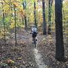 Tanya Lercher enjoying the fall colors on the Yellow Trail.