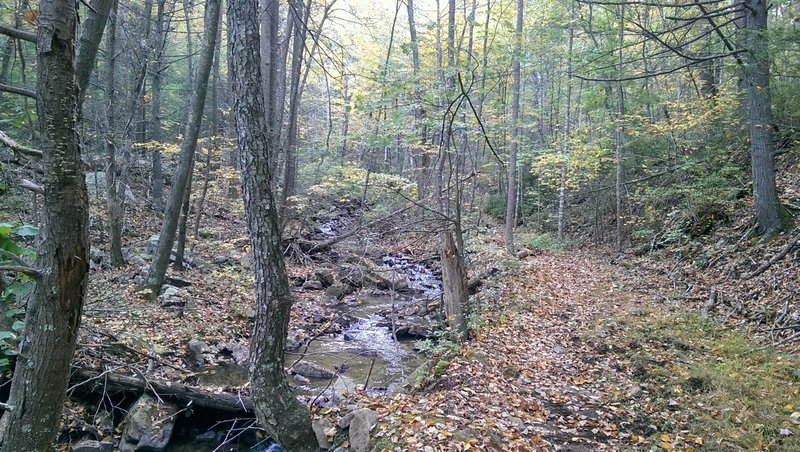 Mudhole Gap Trail in the Fall.