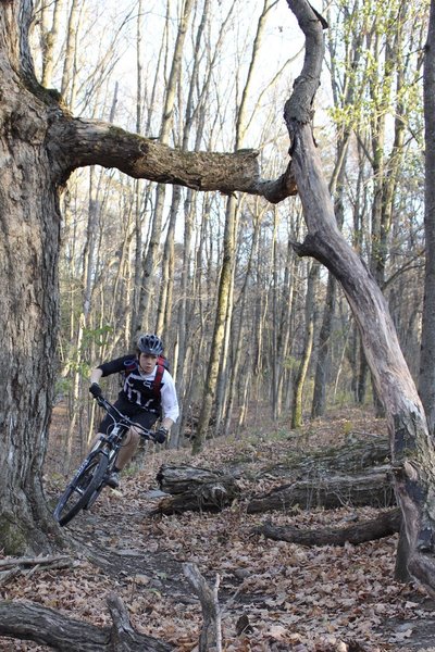 Rolling through Colgate's gorgeous hardwood forests.