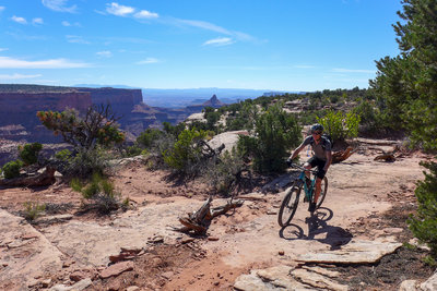 Twisted Tree Mountain Bike Trail Moab Utah