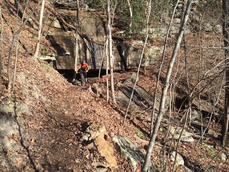 One of the few openings in the hillside by the trail. This picture is a good representation of the majority of the trail tread.