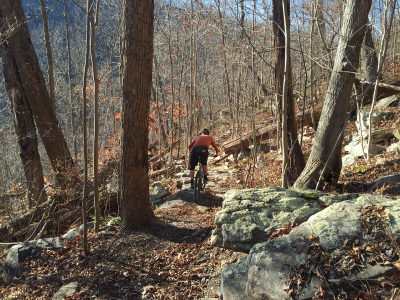 One of the many cool rock armoring sections of the trail.