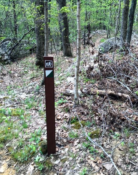 Adventure Hiking Trail Marker - green and white diagonal sticker