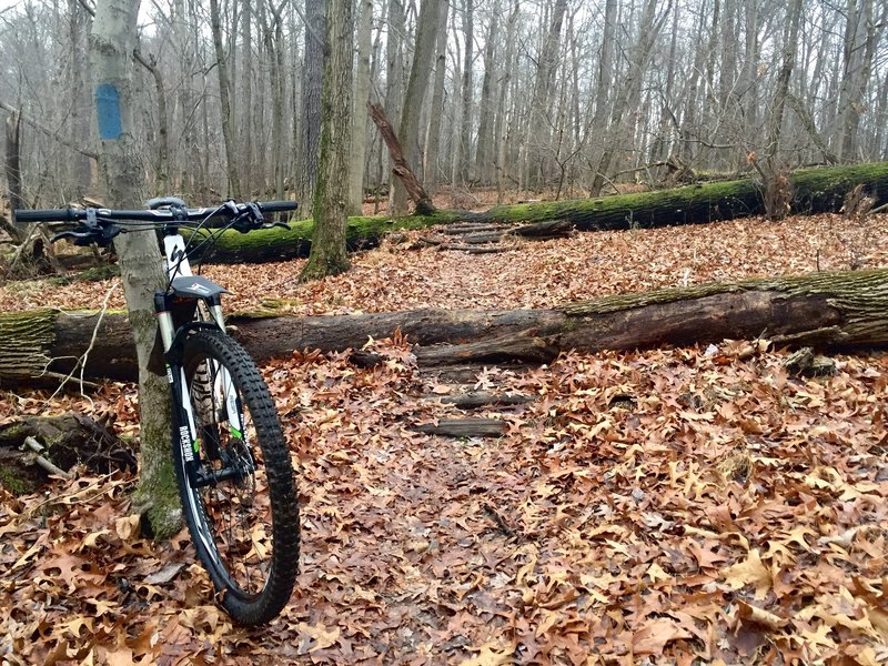 "Big Blue Logs" are one of the few medium obstacles at Hartwood that do not have an opt-out trail.  Being well traveled and super solid, these look much scarier to beginners than they actually are.