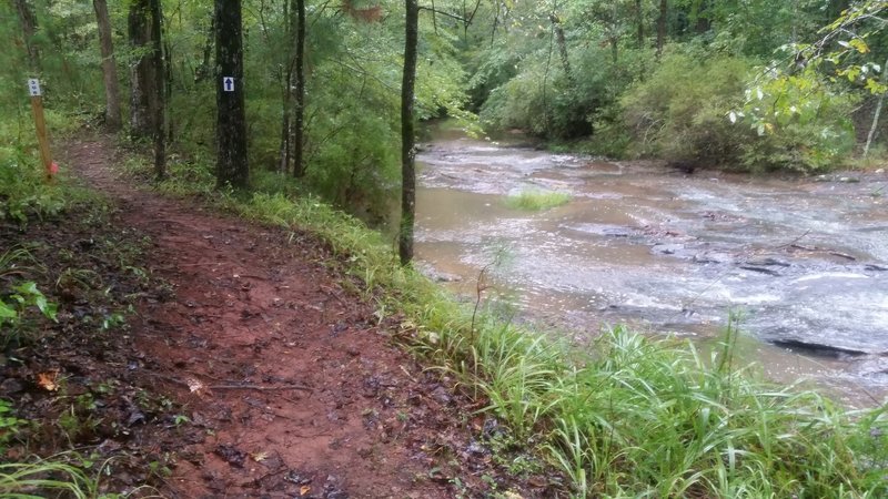 Typical waypoint sign near another cascading creek site on the Blue Loop.