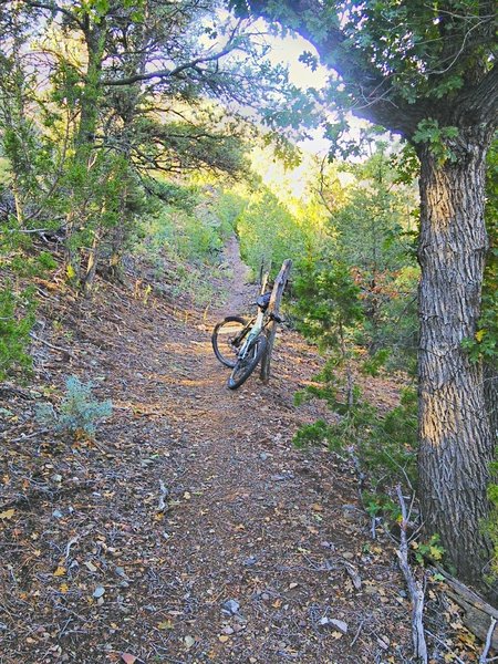 The lowest section of the Copper Canyon Trail, near the trailhead is gentle.