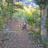 The lowest section of the Copper Canyon Trail, near the trailhead is gentle.