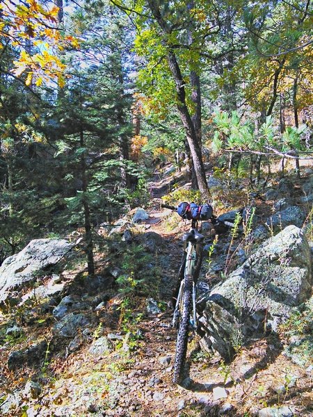 In the middle section of the Copper Canyon Trail, the trail gets chunkier and the cross slope gets steeper.