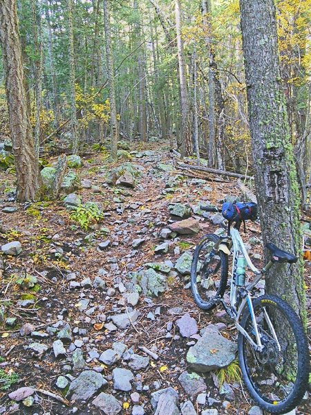 Copper Canyon, middle section rockiness.