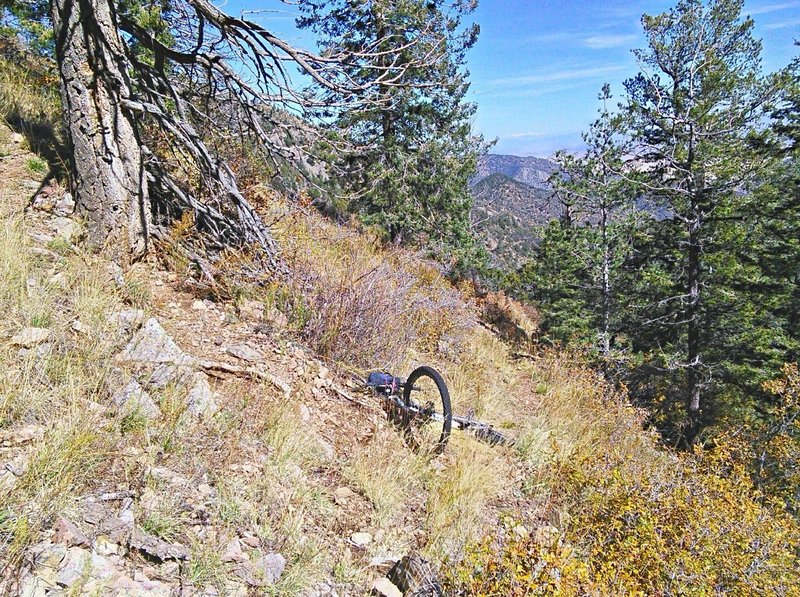 The upper section of the Copper Canyon Trail. The switchback curves around the tree at left, bends around the bike, then takes off towards the far ridge. Cross slope is steep throughout.